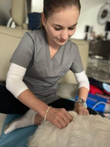 FB_IMG_1718273703802